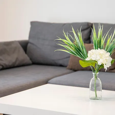 Medano4you Mirandas Marineda El Médano